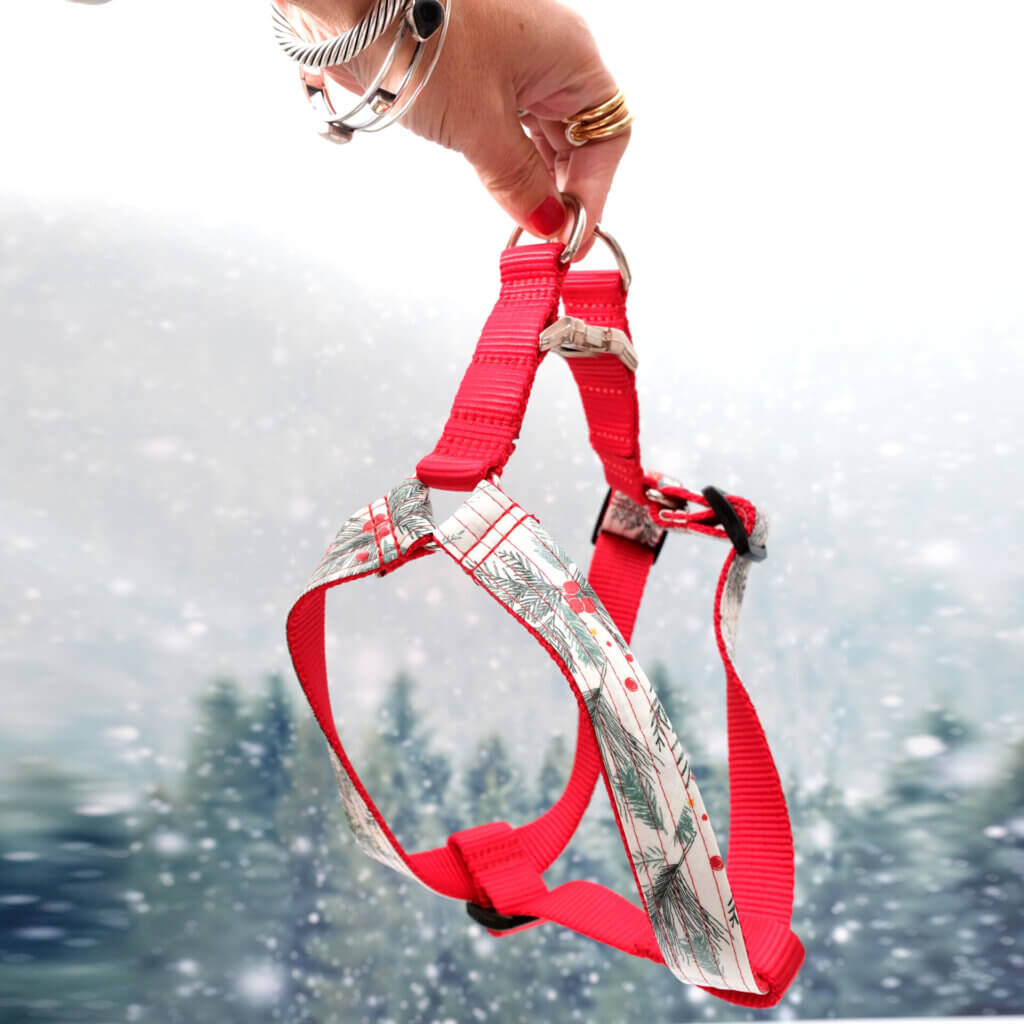 winter berry step in harness