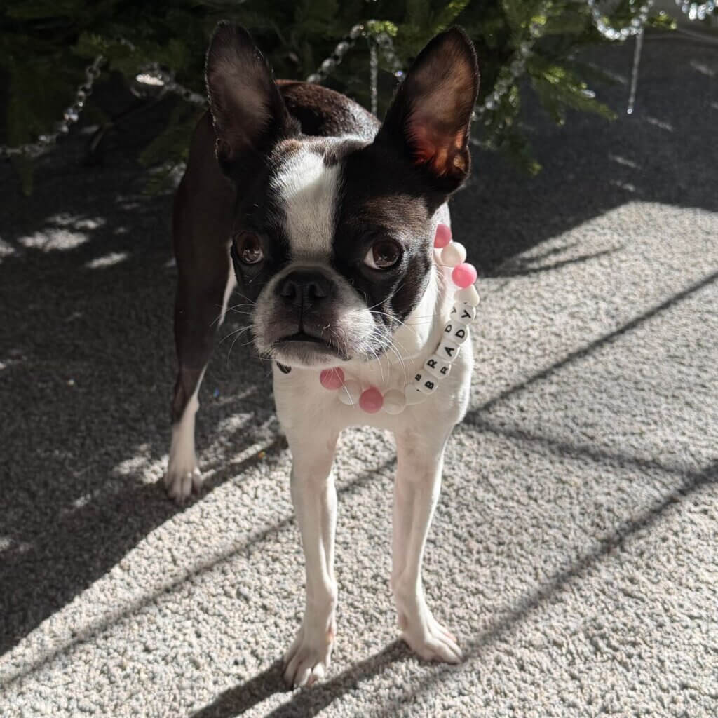 Image #1 from Jessica D.