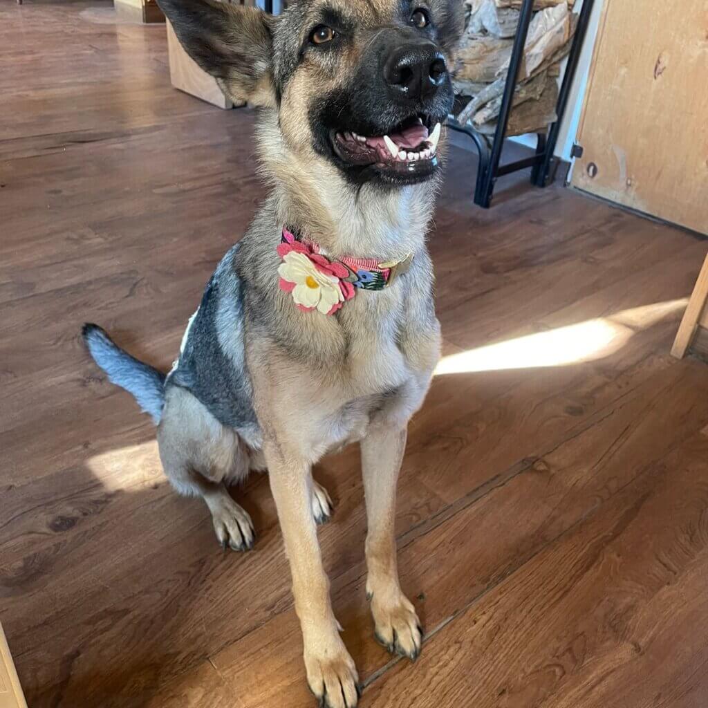 Image #1 from Leianne