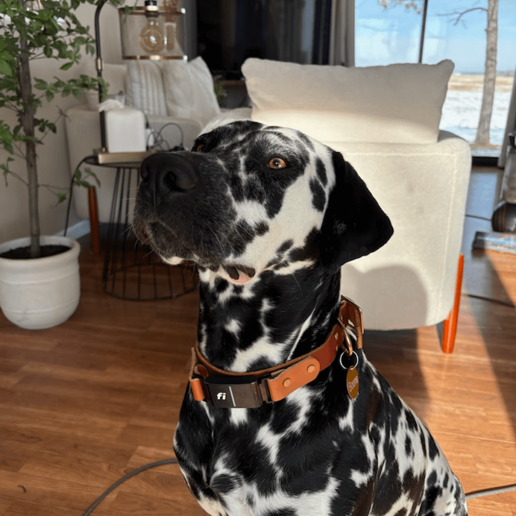 Image #1 from Regan N.