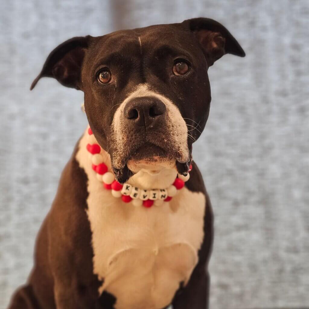 Image #1 from Sandra V.