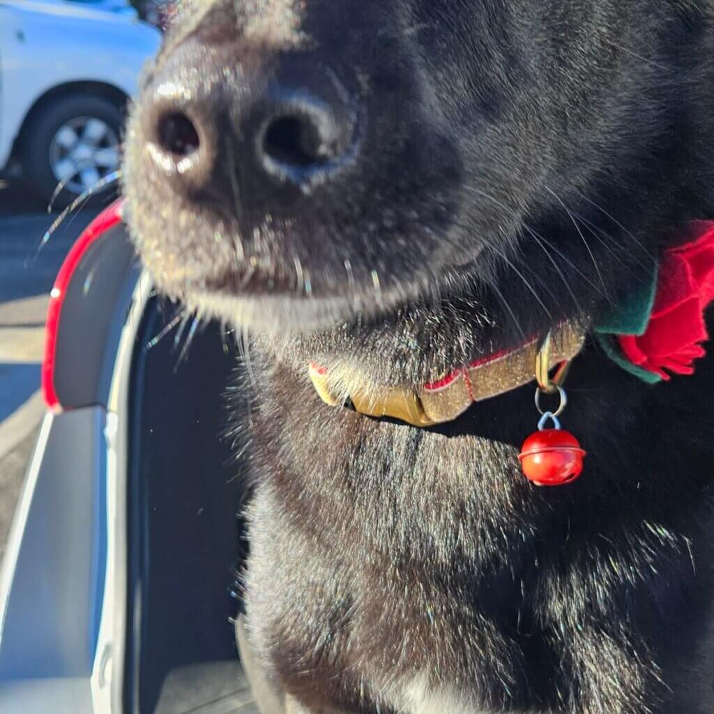 Image #2 from Sierra