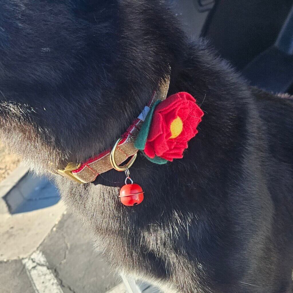 Image #1 from Sierra