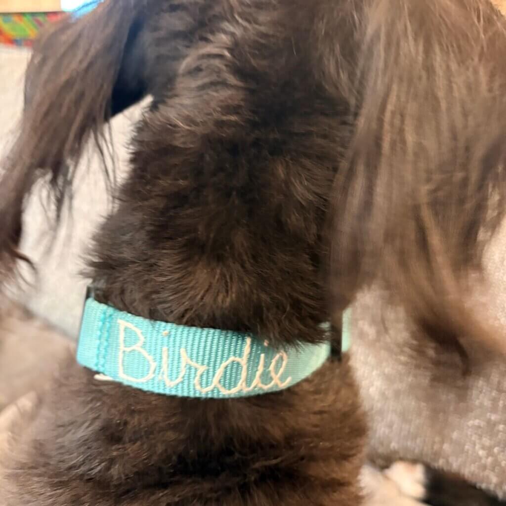 Image #1 from Heather