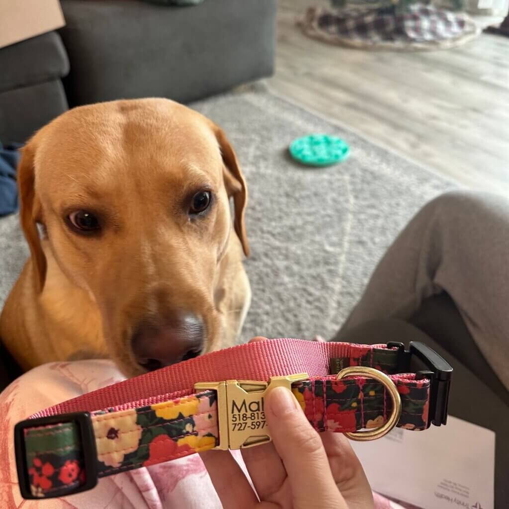 Image #1 from Anonymous