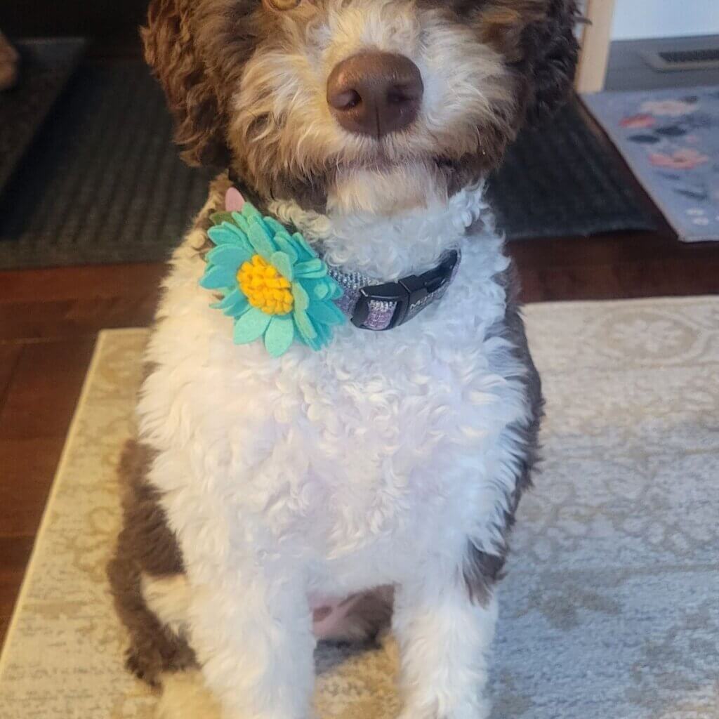 Image #1 from MEGAN Kitchen