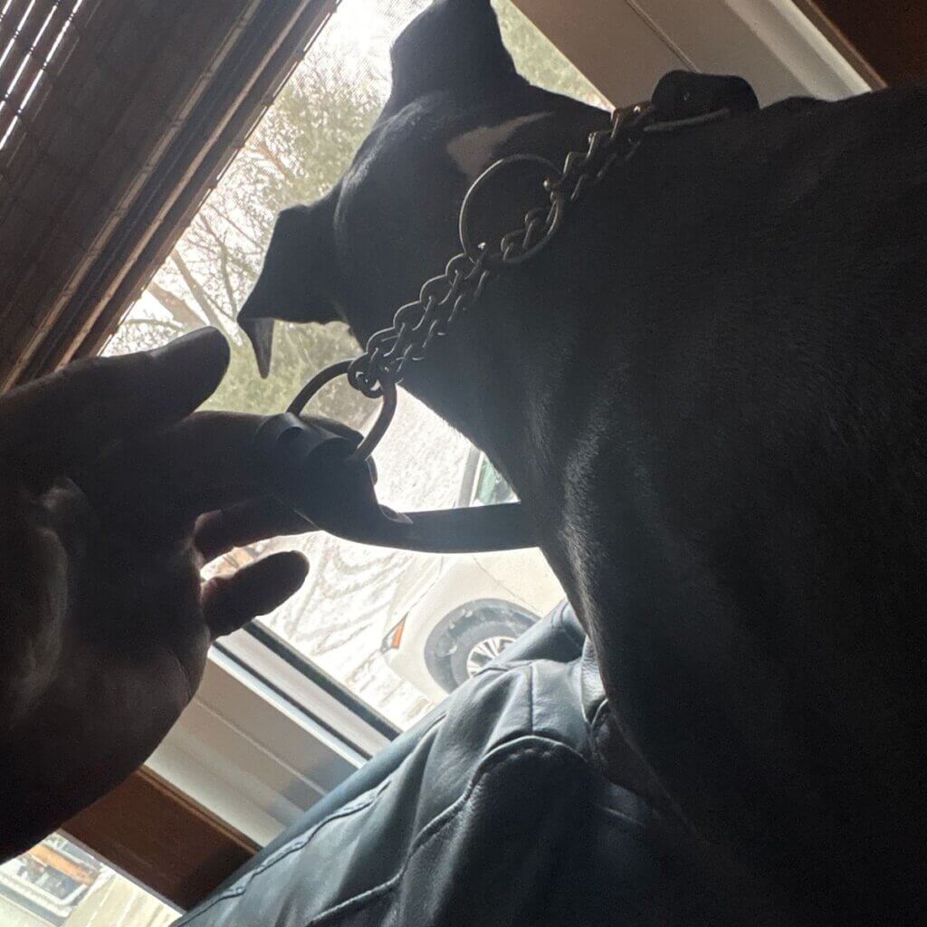 Image #1 from Christopher Williamson