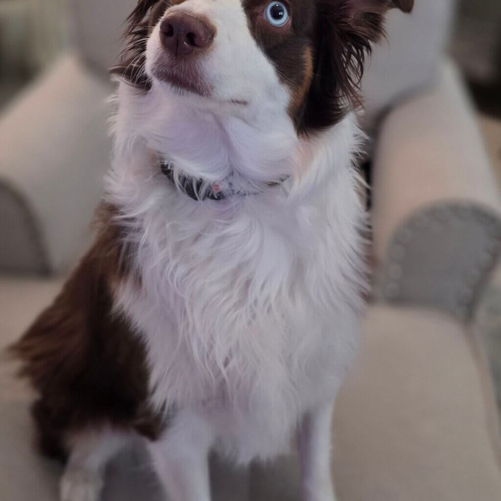 Image #1 from Brian S.