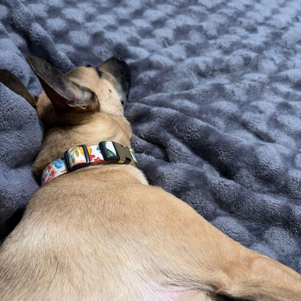 Image #1 from Sarah F.