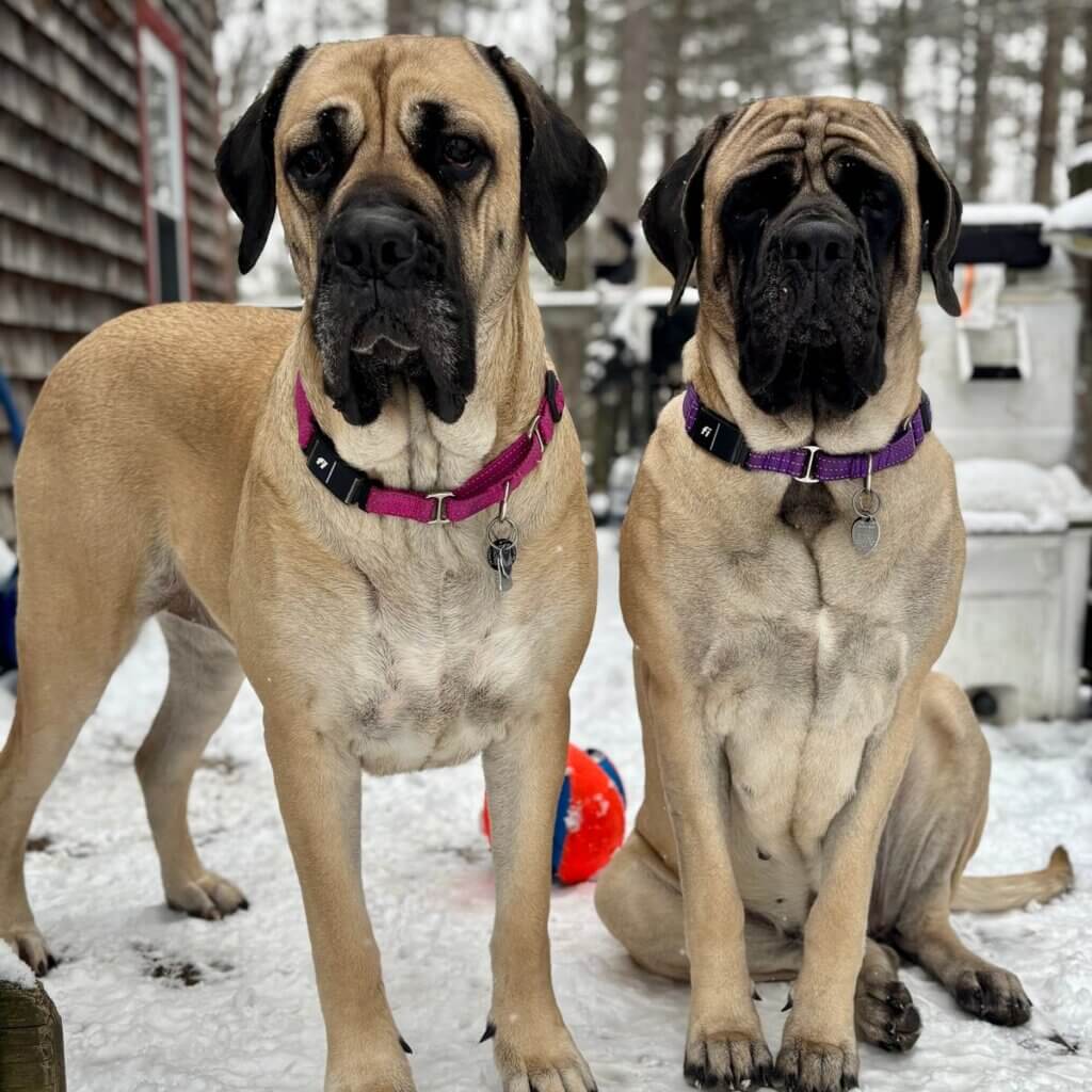 Image #1 from Jill H.