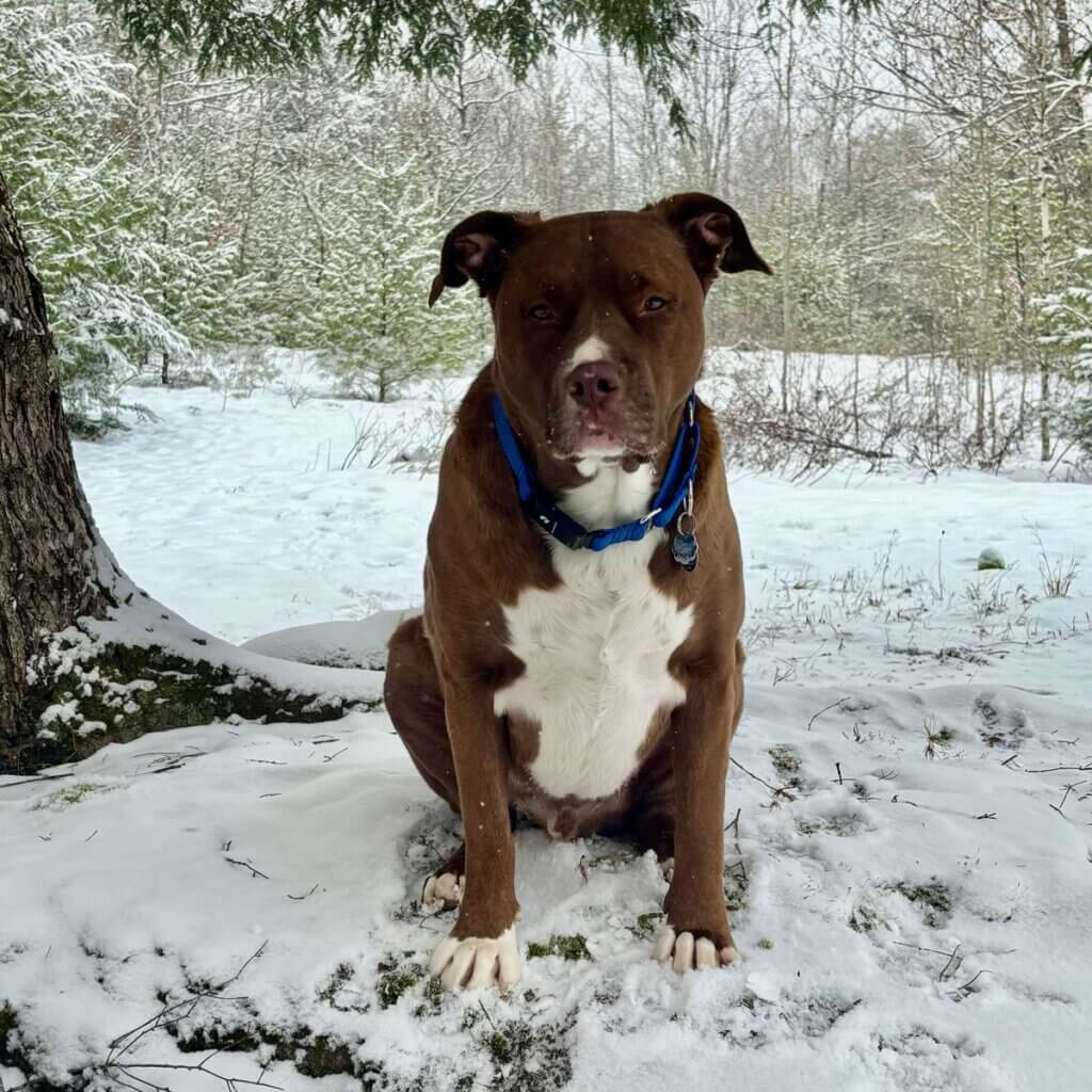 Image #2 from Jill H.