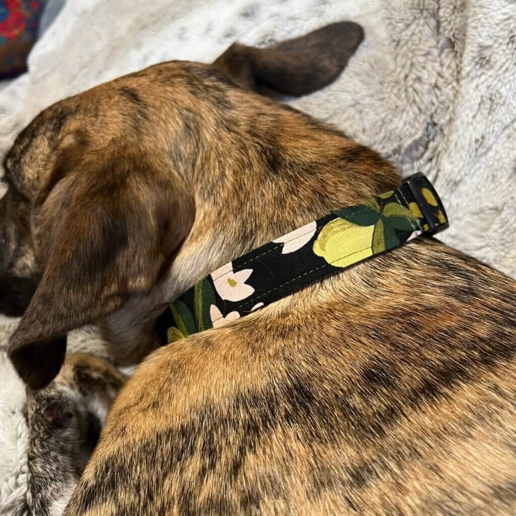 Image #1 from Cathi F.