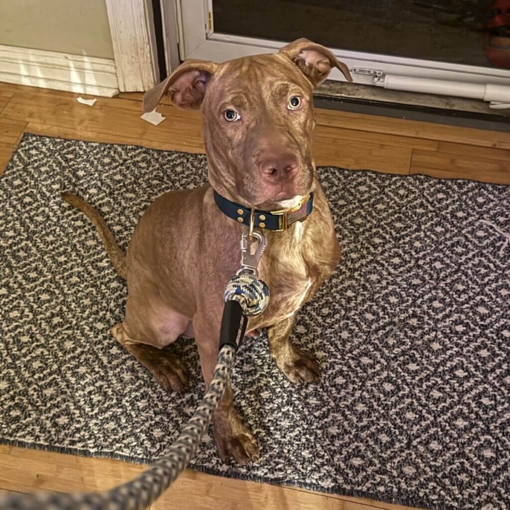 Image #1 from Kelly Holsonback