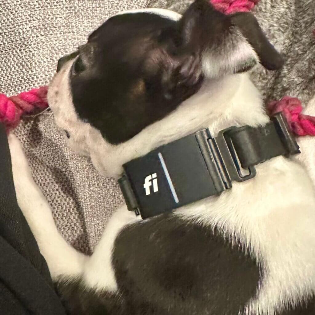 Image #2 from Garet M.