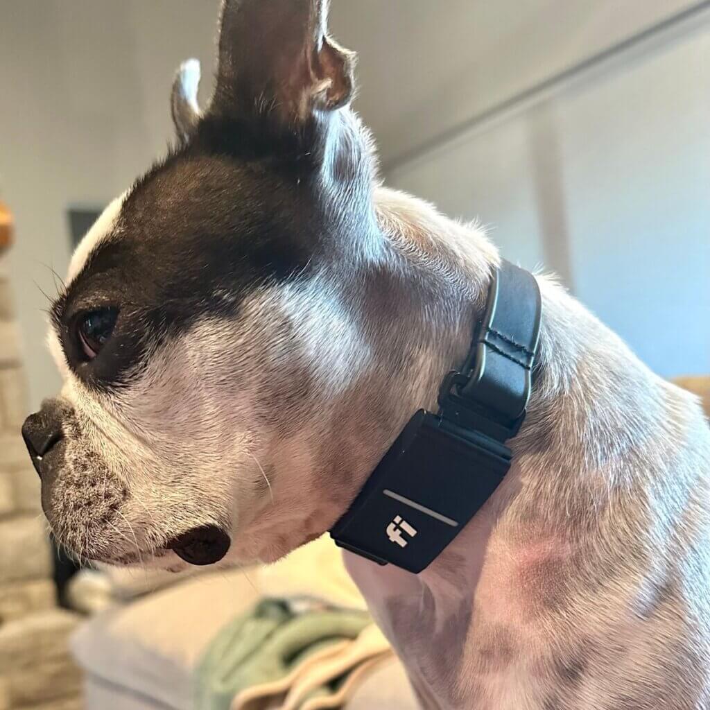 Image #1 from Garet M.