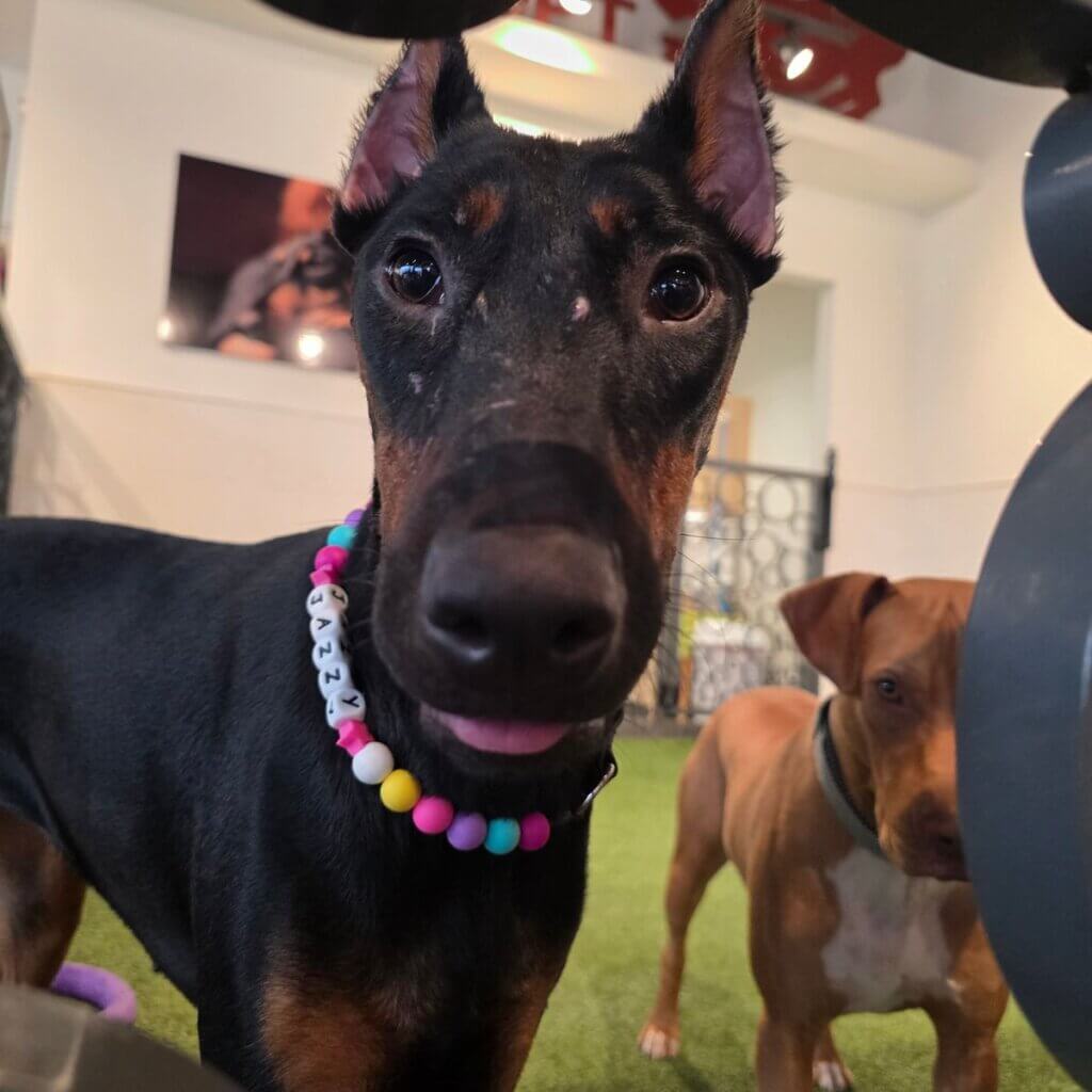 Image #1 from Hannah T.