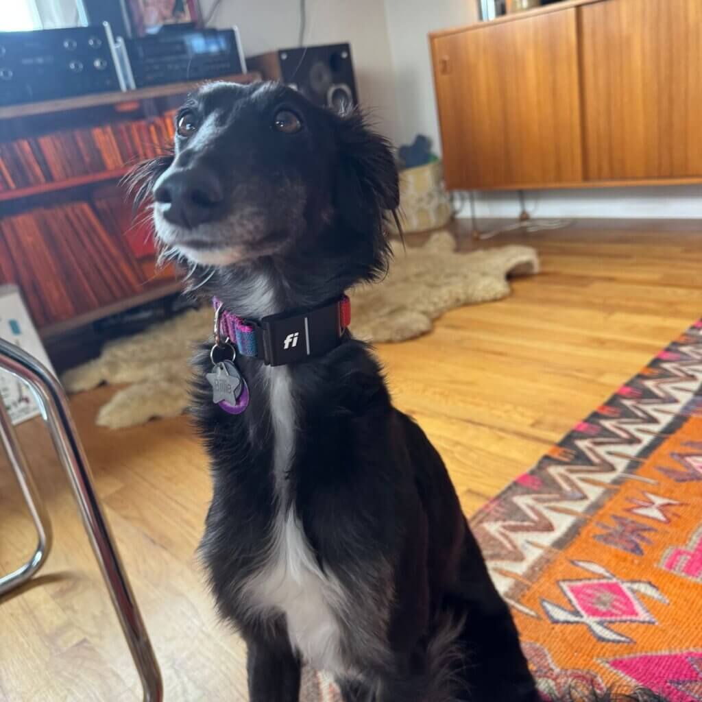 Image #1 from Anonymous