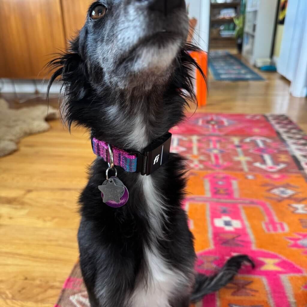 Image #2 from Anonymous