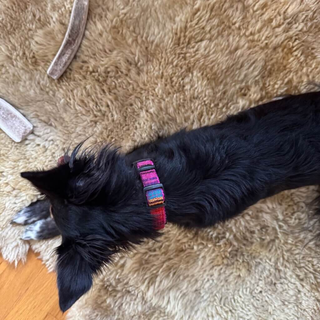 Image #3 from Anonymous