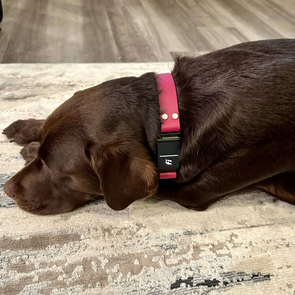 Image #1 from Susan F.