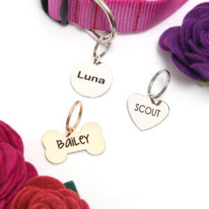 Mimi Green Original Pet ID tags