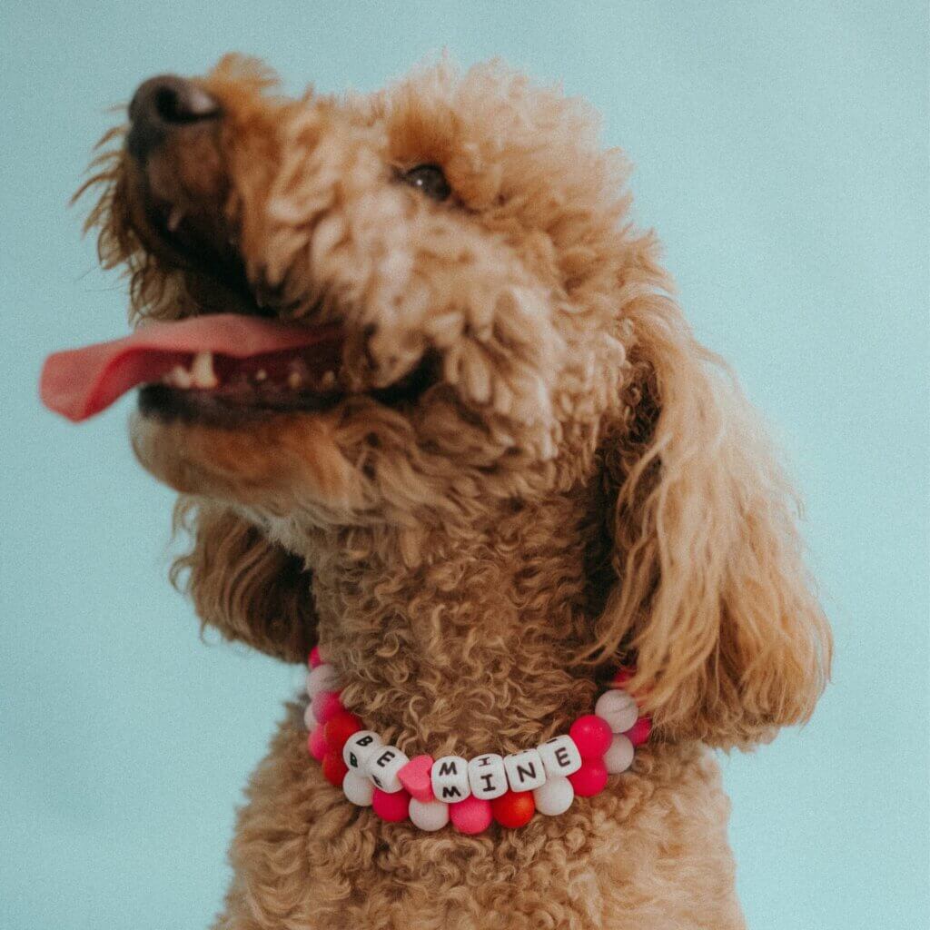 Valentines Doodle Square