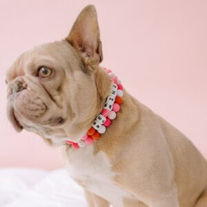 Valentines Frenchie Square