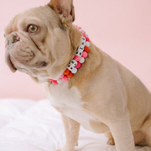 Be Mine dog collar on Frenchie Beaded