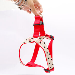 dottie canvas dog harness red