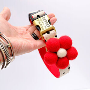 dottie collar red engraved gold buckle