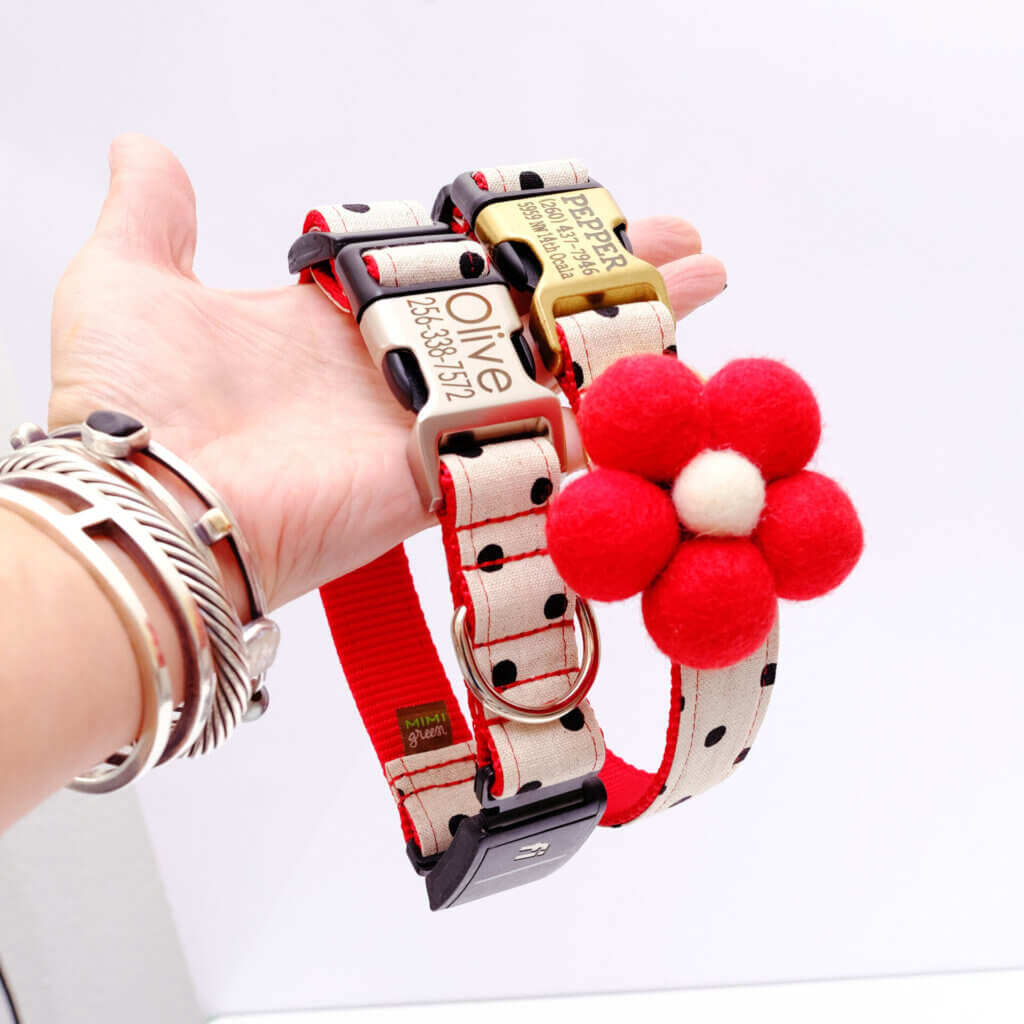 dottie fi collar bubble flower