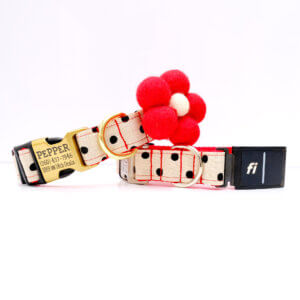 dottie red webbing fi collar