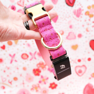 eve lace Fi dog collar gold buckle