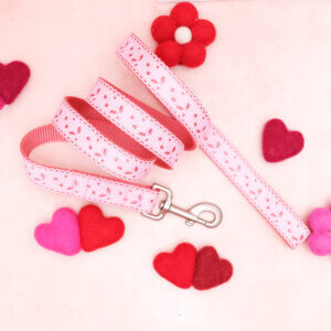 eve lace valentine pink dog leash