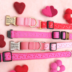 eve martingale lace dog collar personalized