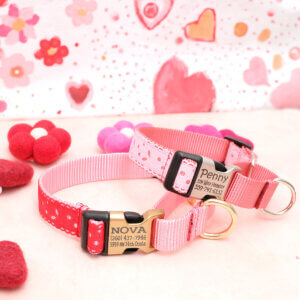 eve martingale valentine dog collar personalized