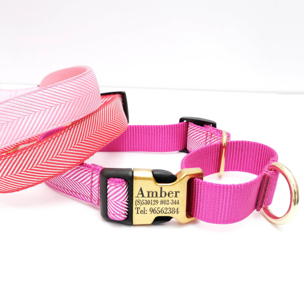 herringbone martingale dog collar engraved