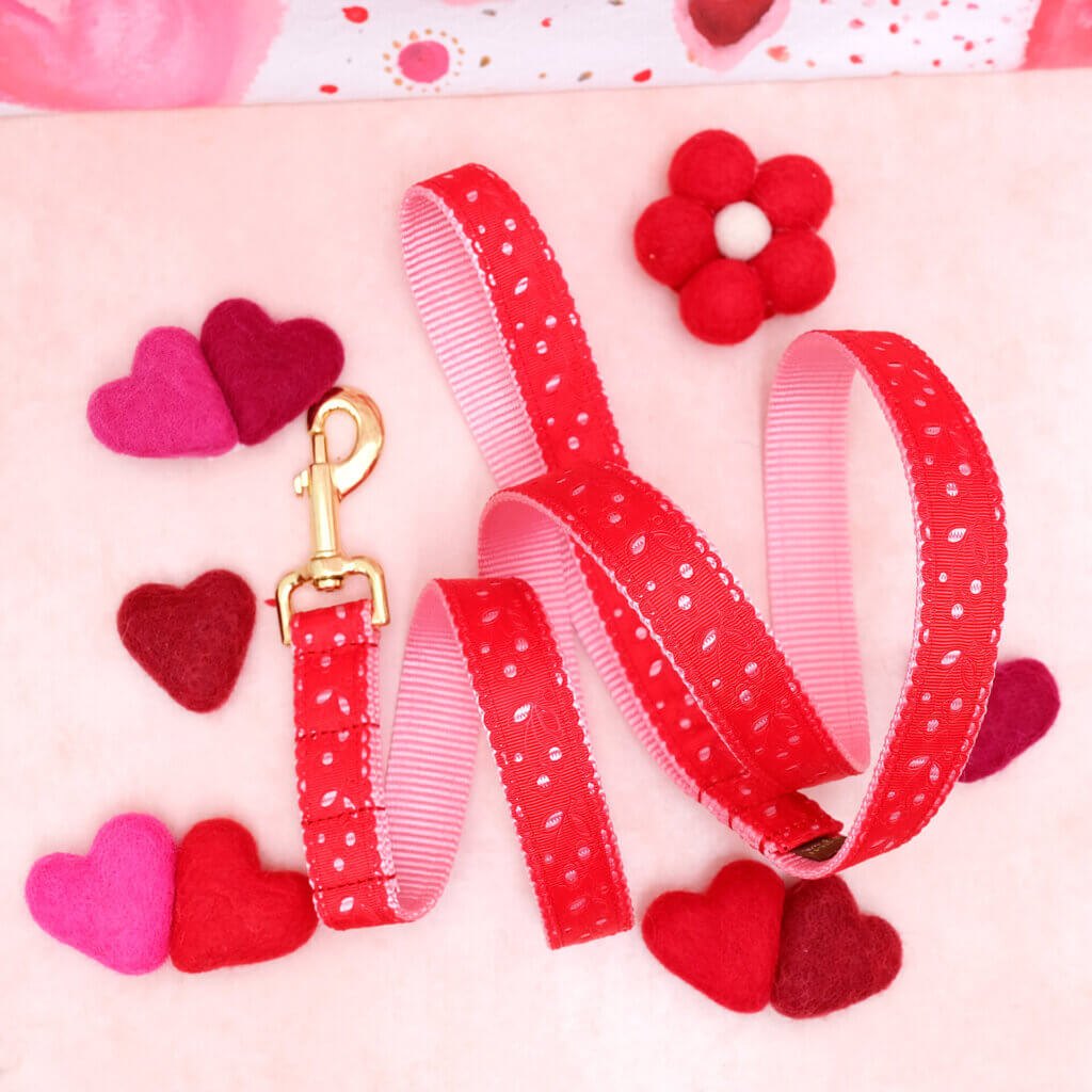 lace even red valentines leash