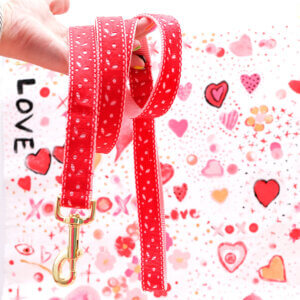 lace even red valentines love leash