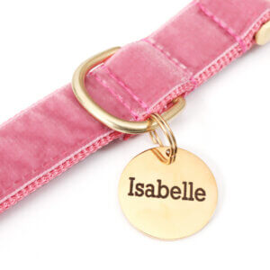 round id tags gold on a pink velvet collar