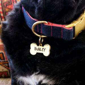 sesame gold bone dog id tag zoom