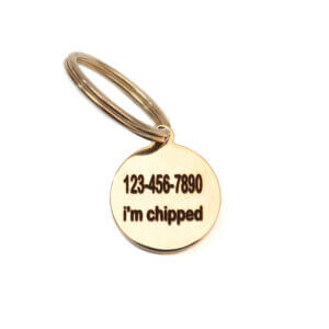 small round gold id tag w split ring (back)
