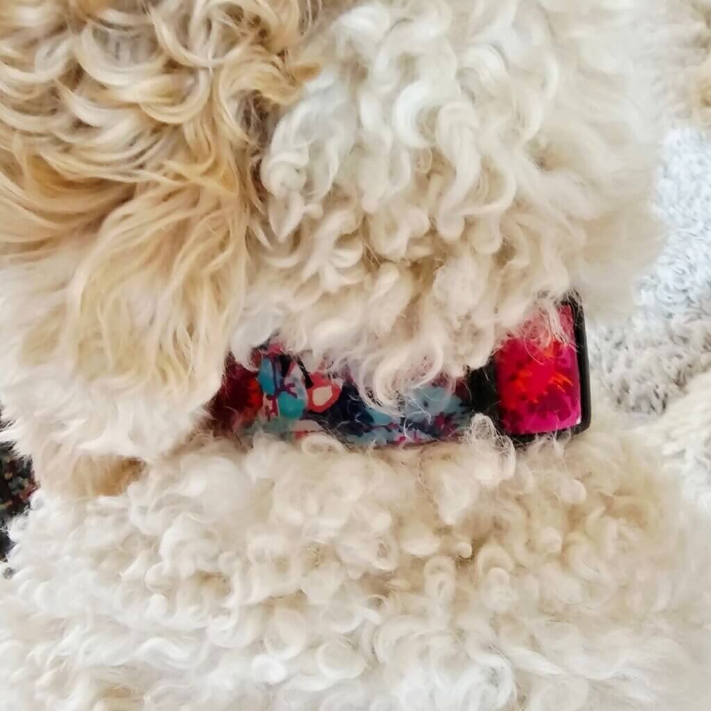 Image #1 from Carolyn