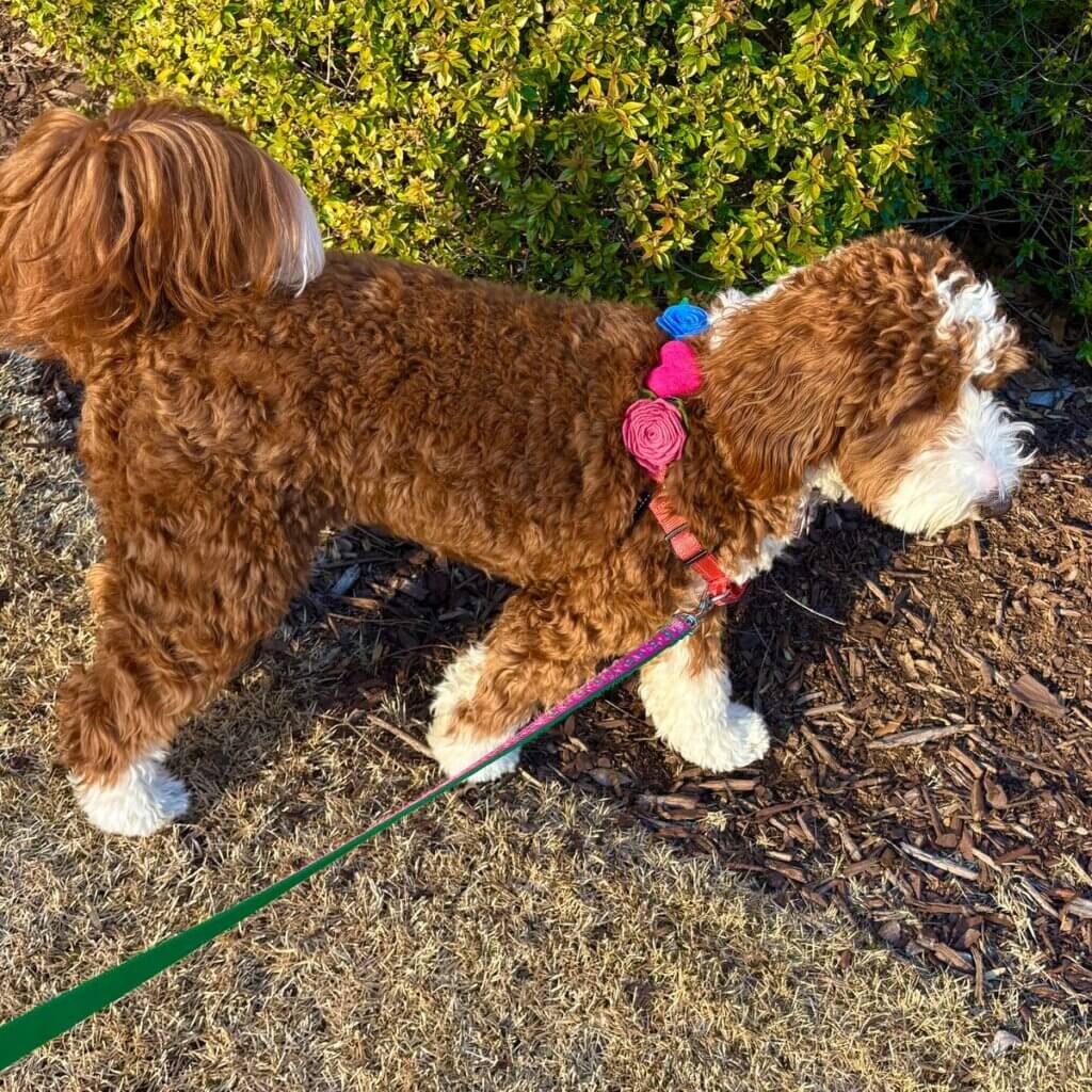 Image #1 from Lorraine