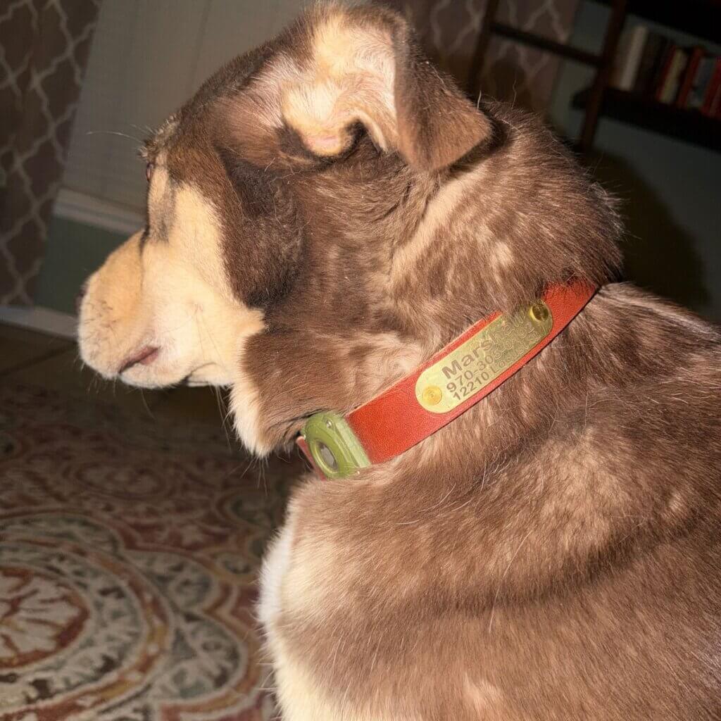 Image #1 from Anonymous