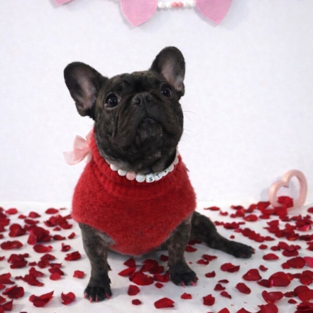 Image #1 from Billie Jo K.