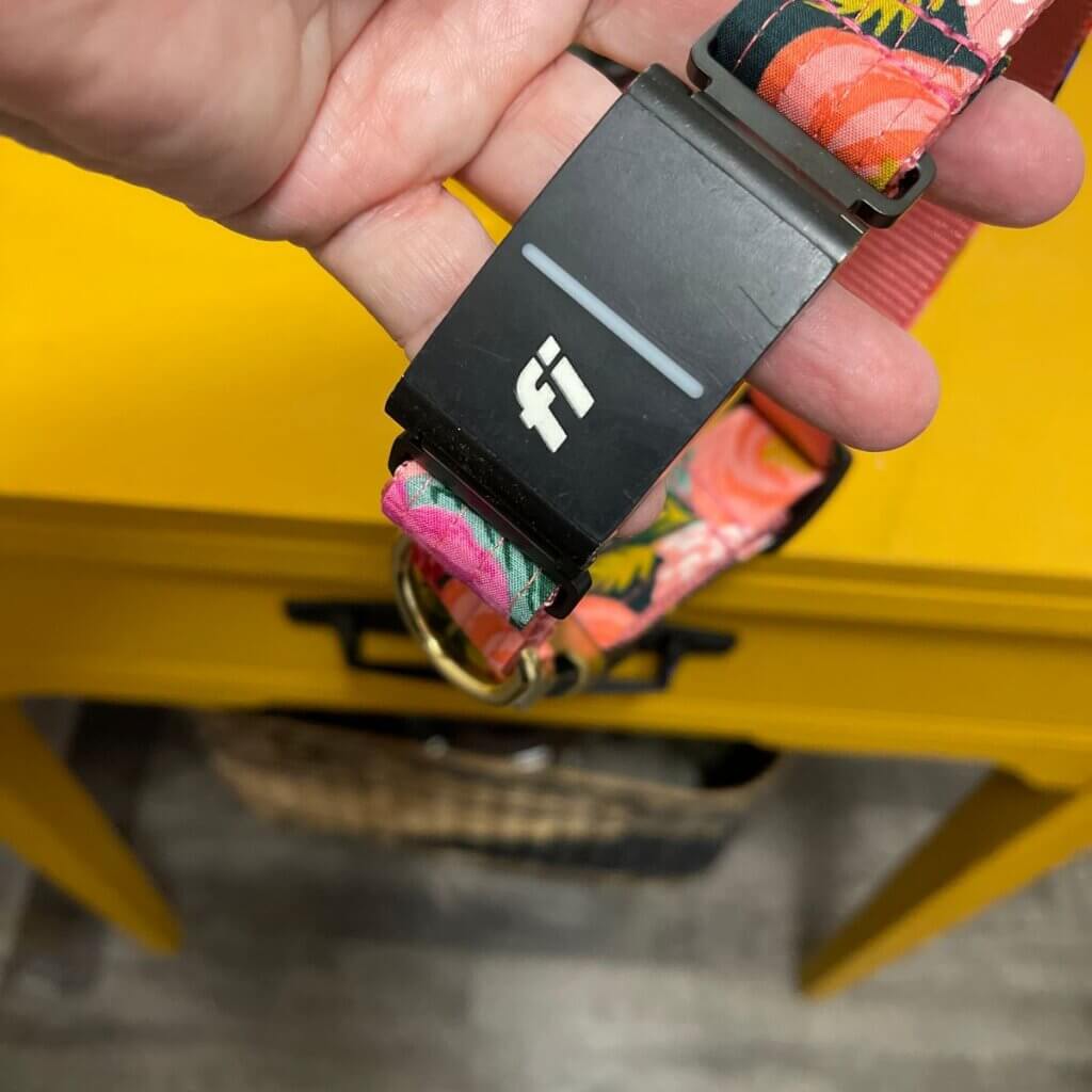 Image #2 from damarys