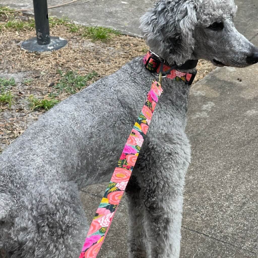 Image #1 from damarys