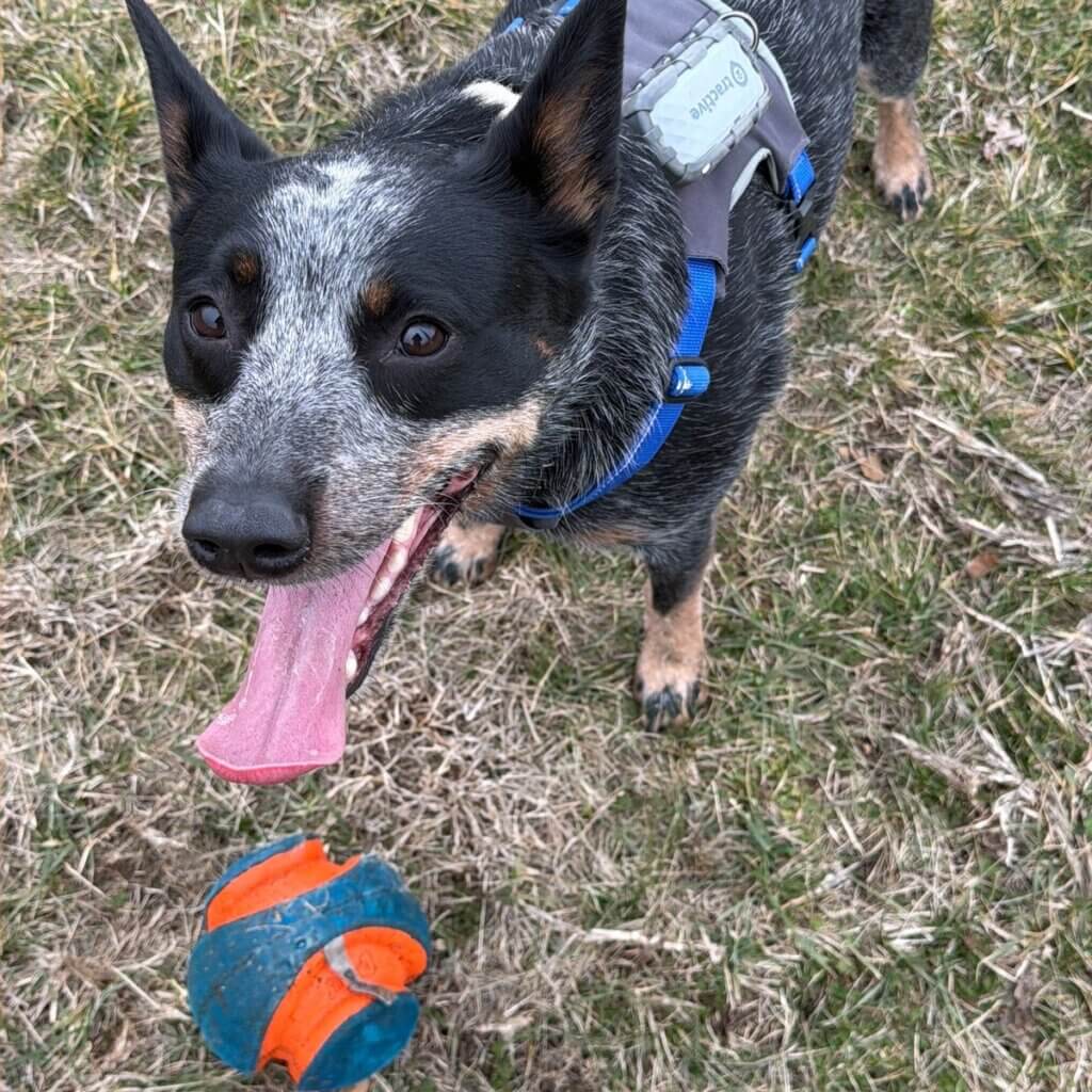 Image #1 from Kim S.