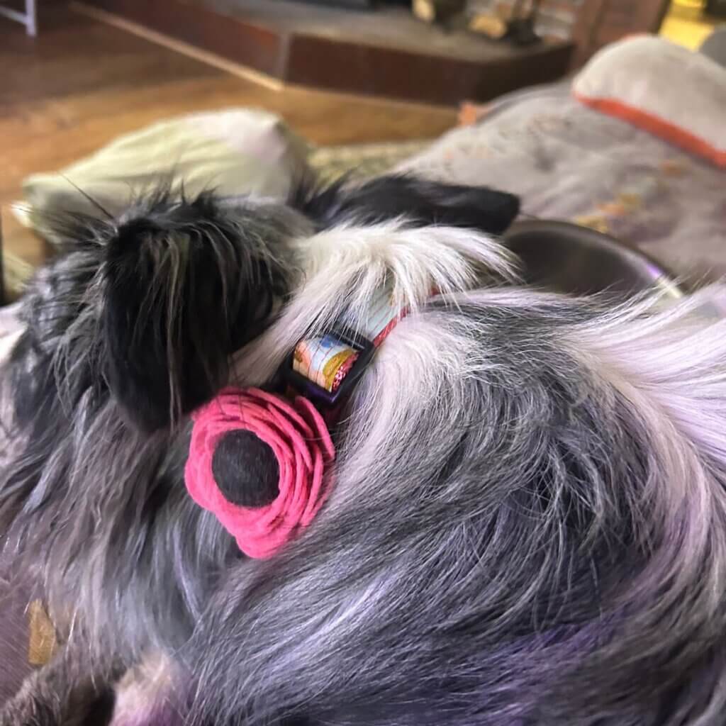 Image #1 from Amanda K.